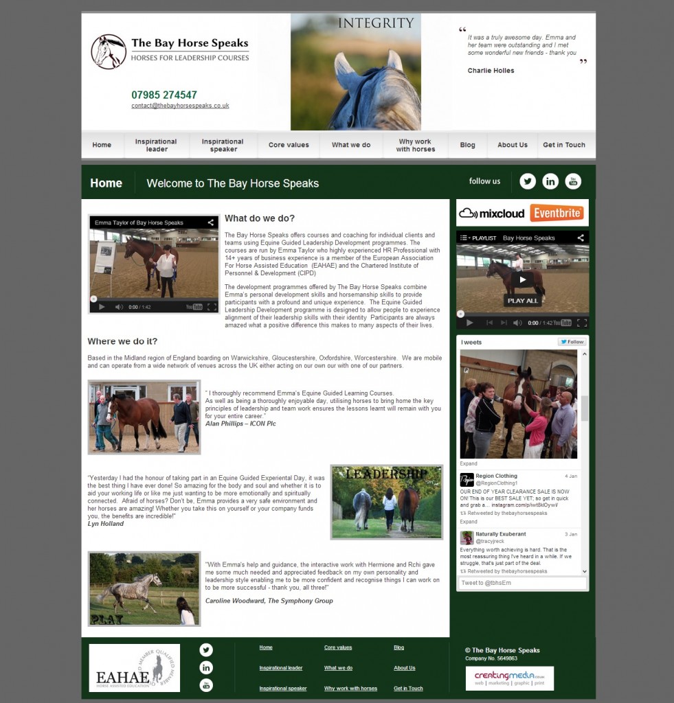 bay horse homepage