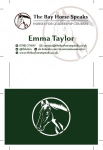 bayhorsebcard